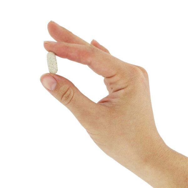 Comprar Éster C com Bioflavonóides Cítricos 500 mg. - 225 Comprimidos vegetarianos American Health - Imagem 5