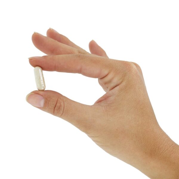Comprar Potente Acidófilo Probiótico com Pectina 6 Bilhões de UFC - Cápsulas 100 American Health - Imagem 5