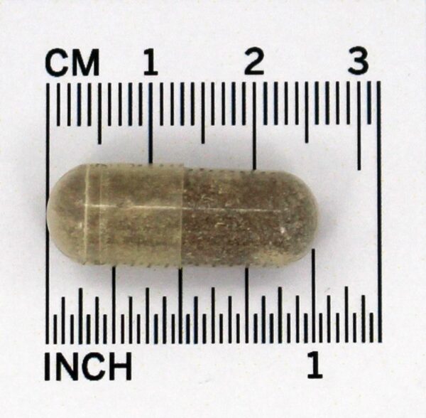 Comprar Éster C com Bioflavonóides Cítricos 1000 Mg. - Cápsulas 90 American Health - Imagem 4