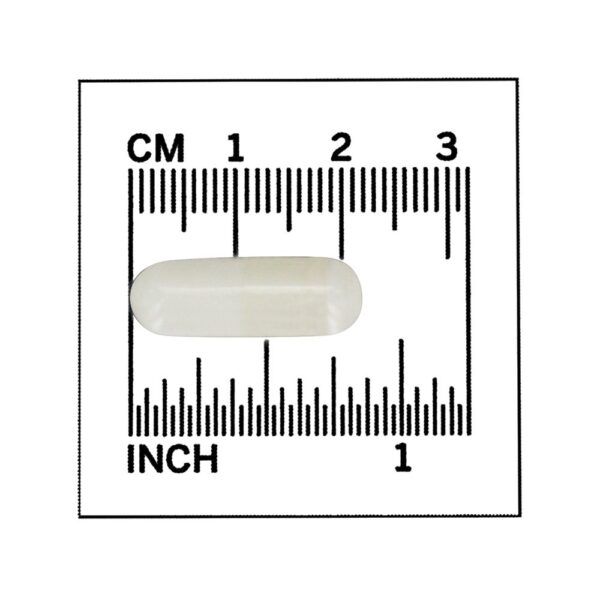 Comprar Aminoácido Essencial de L-Metionina 500 mg . - Cápsulas 100 NOW Foods - Imagem 4
