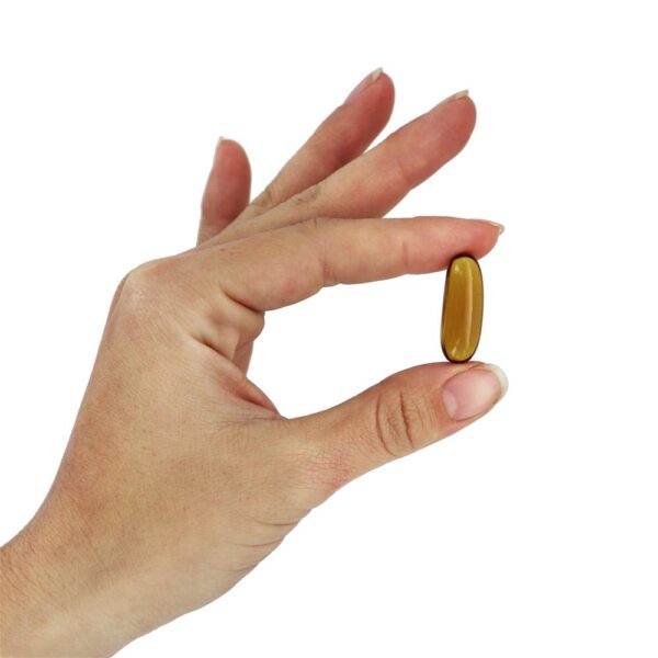 Comprar Óleo de Semente de Abóbora 1000 mg. - 100 Softgels NOW Foods - Imagem 5