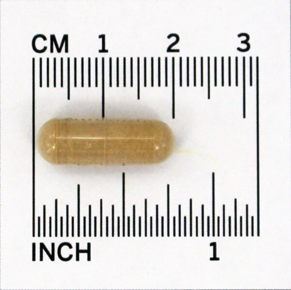 Comprar Depuradores Radicais Livres de Pycnogenol 30 mg. - 30 Cápsula (s) vegetal (s) NOW Foods - Imagem 4