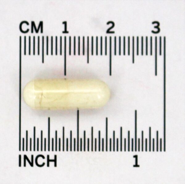 Comprar Vitamina B6 100 mg. - Cápsulas 250 NOW Foods - Imagem 4