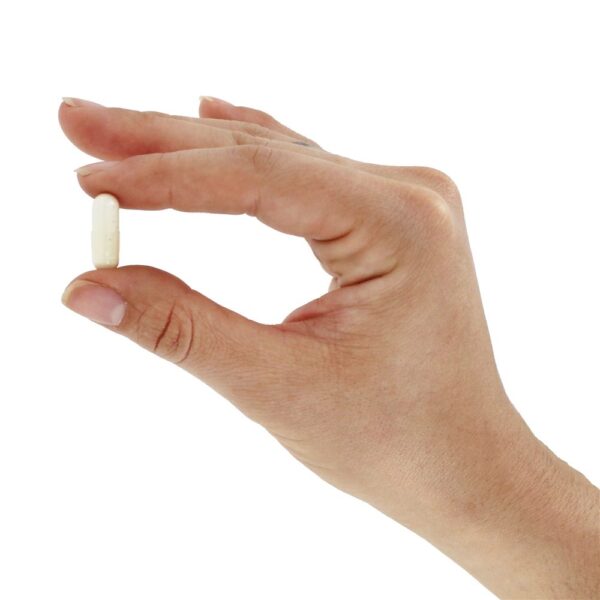 Comprar Vitamina B6 100 mg. - Cápsulas 250 NOW Foods - Imagem 5