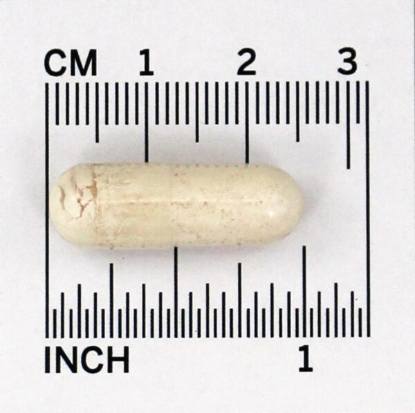 Comprar Saúde Óssea com Cálcio de Casca de Ovo - Cápsulas vegetarianas 120 Membrell - Imagem 5