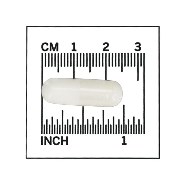 Comprar MSM 1000 mg. - 240 Cápsula (s) vegetal (s) NOW Foods - Imagem 4