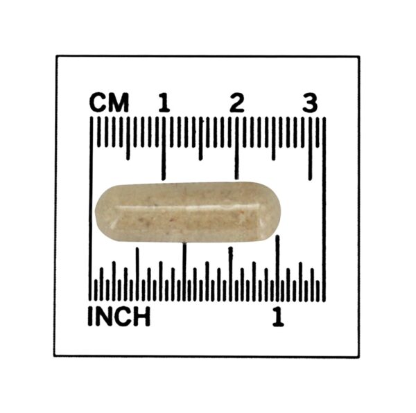 Comprar Casca de psyllium Caps 700 mg. - 180 Cápsula (s) vegetal (s) NOW Foods - Imagem 5