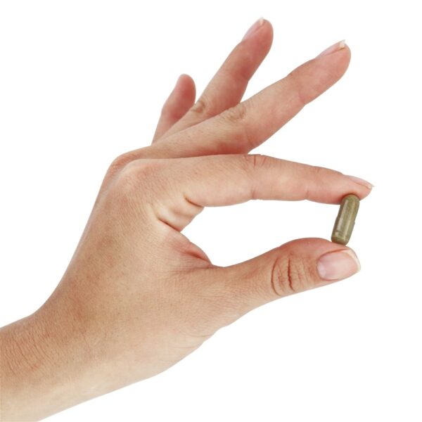 Comprar Suporte ao colesterol com força dupla de mg 20 mg . - 90 Cápsula (s) vegetal (s) NOW Foods - Imagem 5