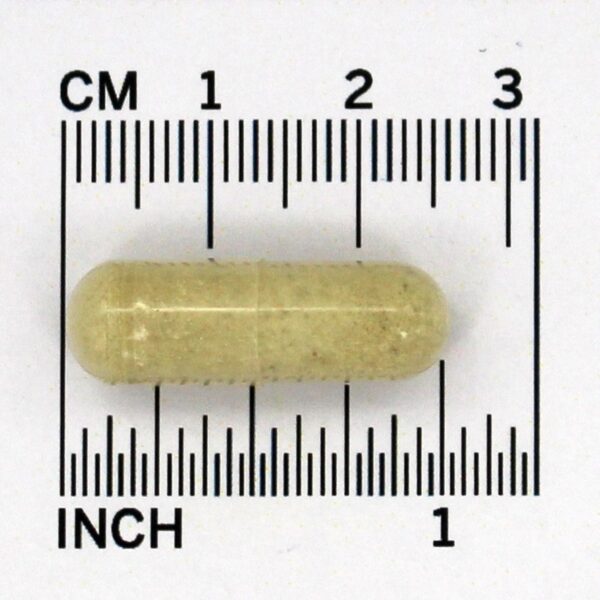 Comprar Proteção antioxidante da vitamina C1000 - 250 Cápsula (s) vegetal (s) NOW Foods - Imagem 4