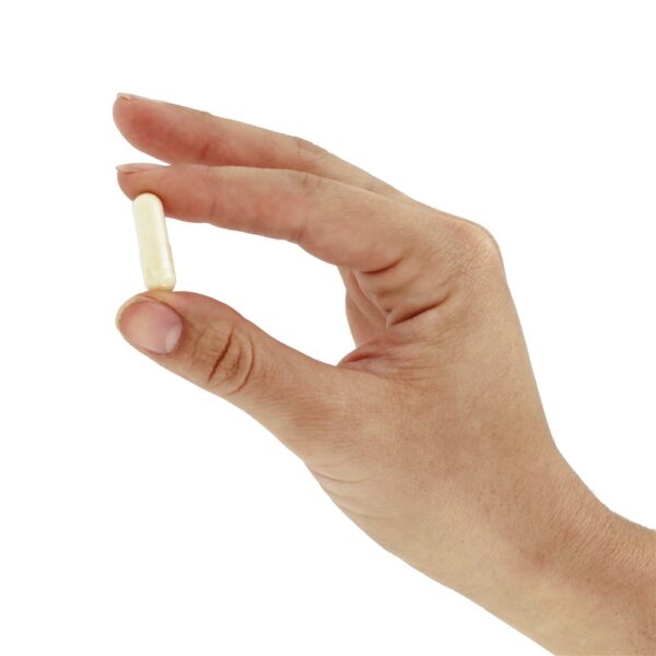 Comprar Magnésio 2-AEP 500 mg. - 100 Cápsula (s) vegetal (s) Advanced Research - Imagem 5