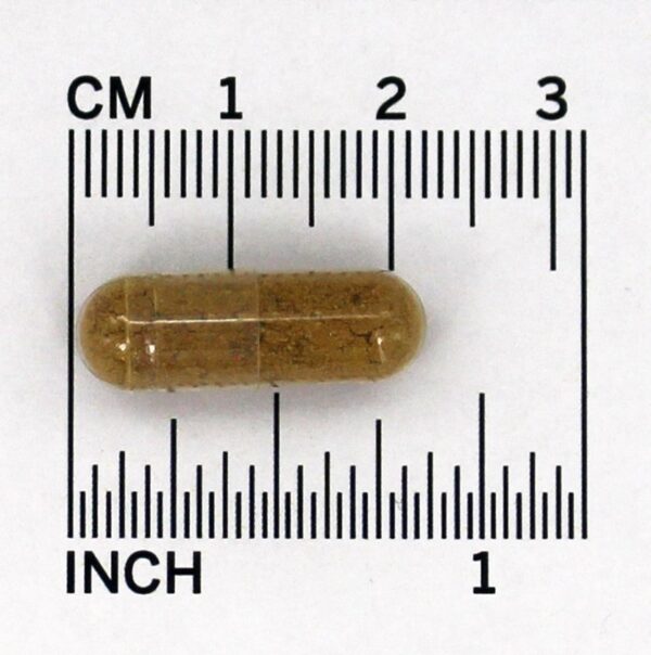 Comprar Triphala Para Digestão & Limpeza do Cólon - Cápsulas vegetarianas 90 Organic India - Imagem 4