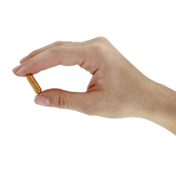 Comprar Fórmula de Cúrcuma para Mobilidade & Suporte Articular - Cápsulas vegetarianas 90 Organic India - Imagem 5