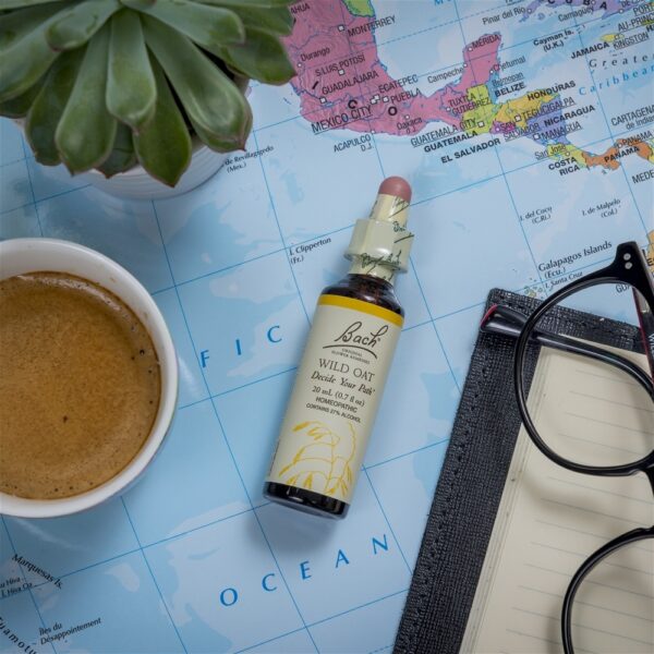 Comprar Essência de remédio de flor Original de Bach Essência de flor de aveia selvagem - 20 ml. Bach - Imagem 5
