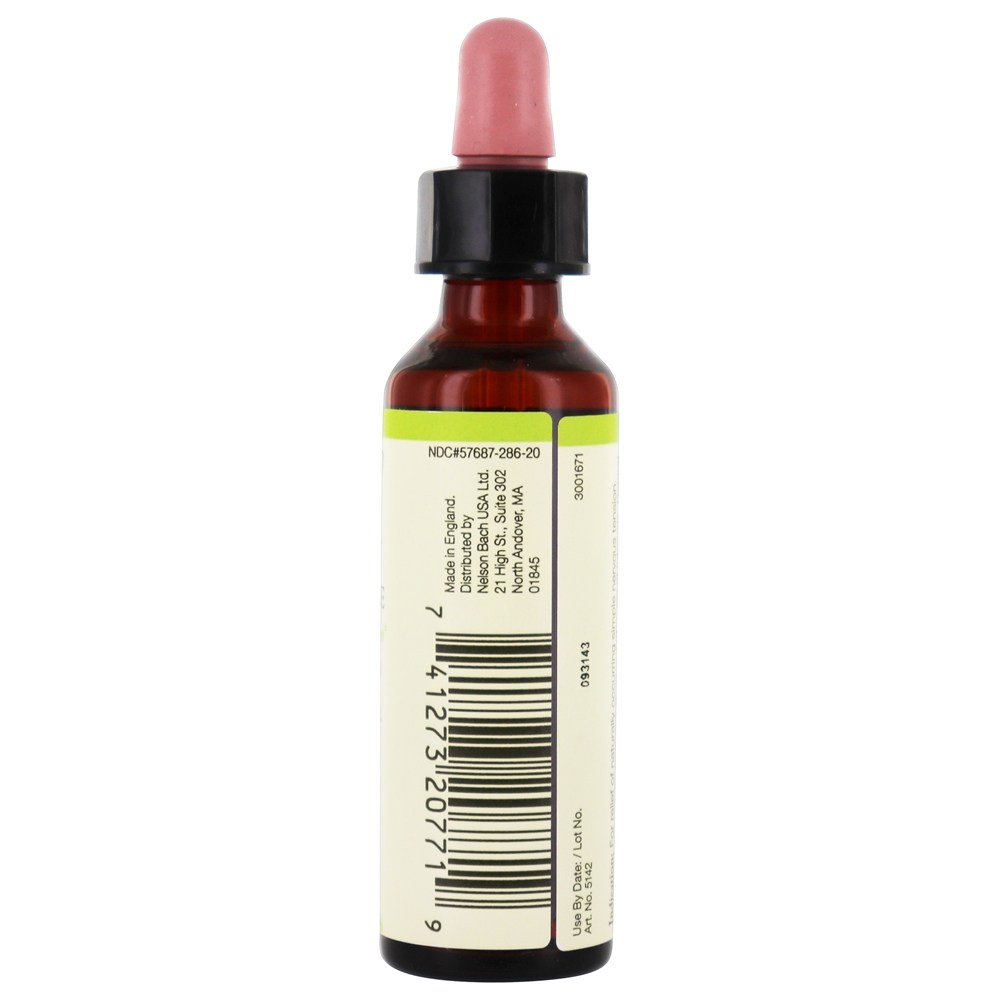 Comprar Bach Flor Original Remedy Dropper Wild Rose Flor Essência - 20 ml. Bach - Imagem 3