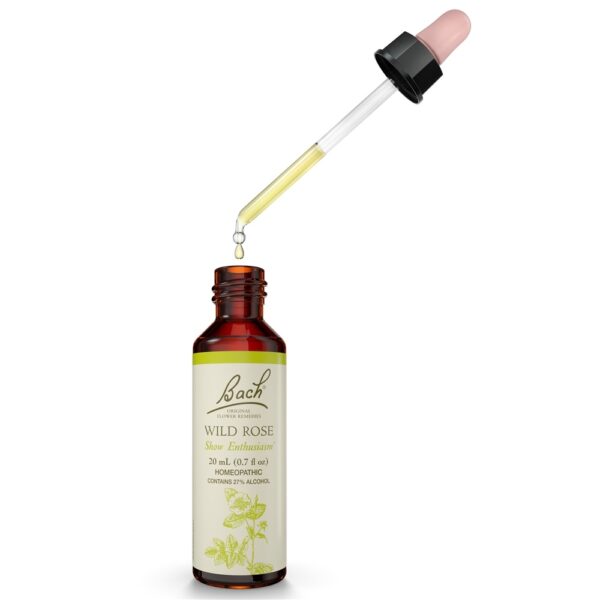 Comprar Bach Flor Original Remedy Dropper Wild Rose Flor Essência - 20 ml. Bach - Imagem 4