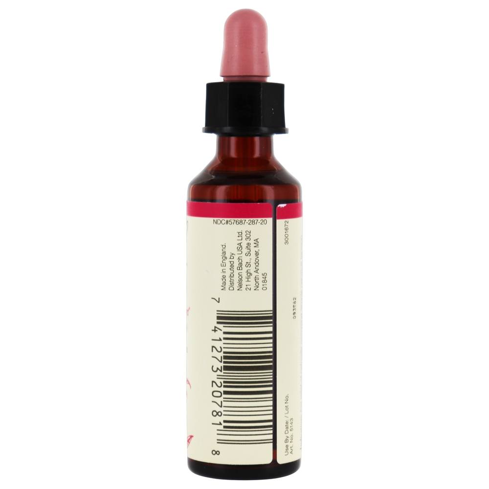 Comprar Bach Original Flor Remédio Dropper Salgueiro Flor Essência - 20 ml. Bach - Imagem 3