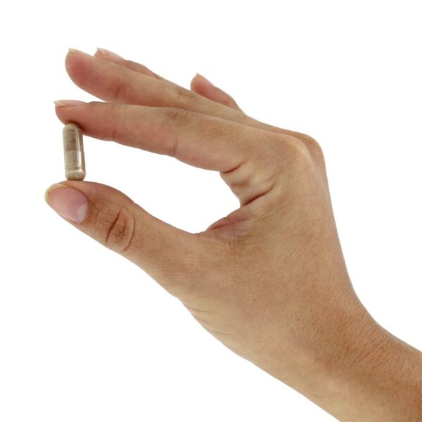 Comprar Clear Sinus & Ear Homeopático / Herbal Relief Formula - Cápsulas 60 Clear Products - Imagem 5