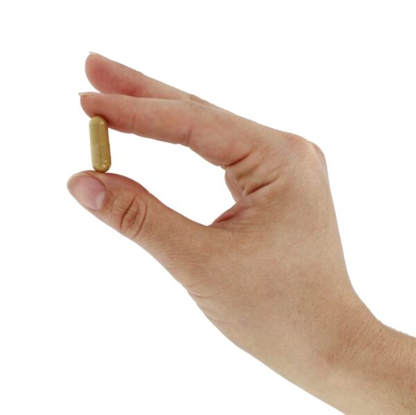 Comprar Detox Suporte Diário para o Fígado - Cápsulas vegetarianas 60 Futurebiotics - Imagem 6