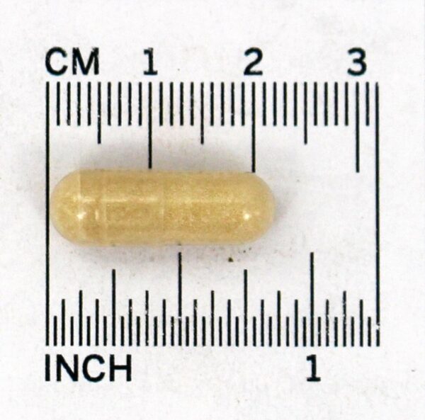 Comprar Pico Imune 4 250 mg. - 50 Cápsula (s) vegetal (s) Daiwa Health Development - Imagem 4
