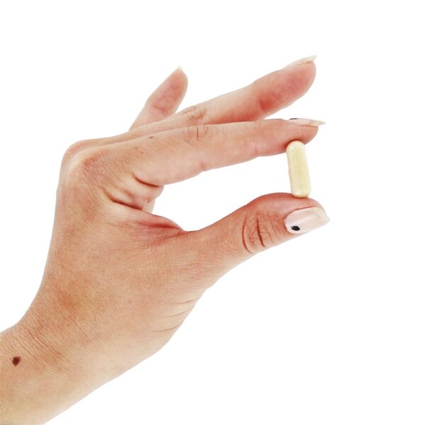 Comprar Pico Imune 4 250 mg. - 50 Cápsula (s) vegetal (s) Daiwa Health Development - Imagem 5