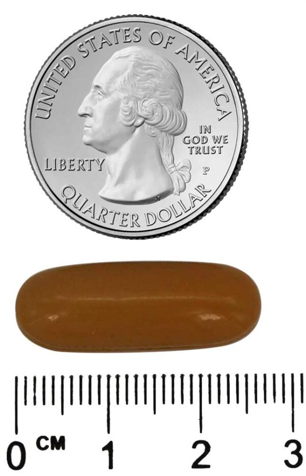 Comprar Fórmula Conjunta 3 em 1 - 90 Gelcaps Irwin Naturals - Imagem 4