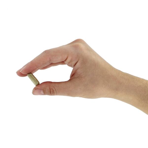 Comprar Super Limpeza do Cólon - Cápsulas 240 Health Plus - Imagem 5
