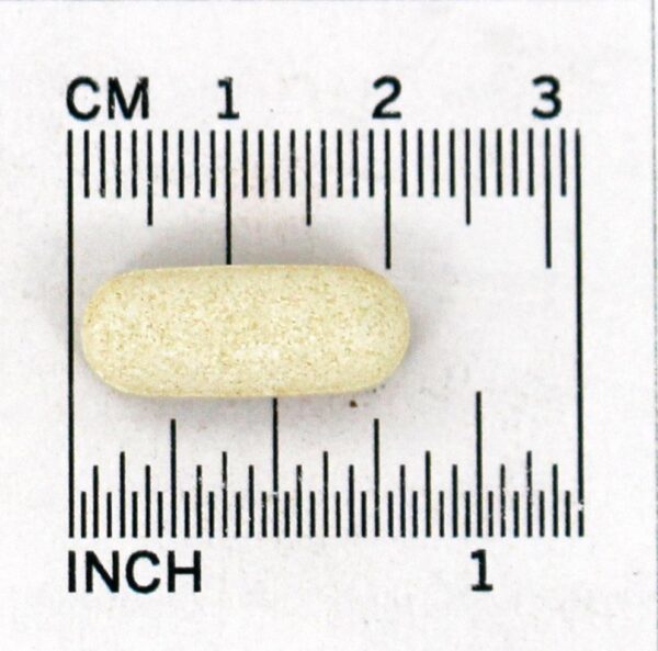 Comprar Bromelaína 1000 500 mg. - 60 Tablets Jarrow Formulas - Imagem 4