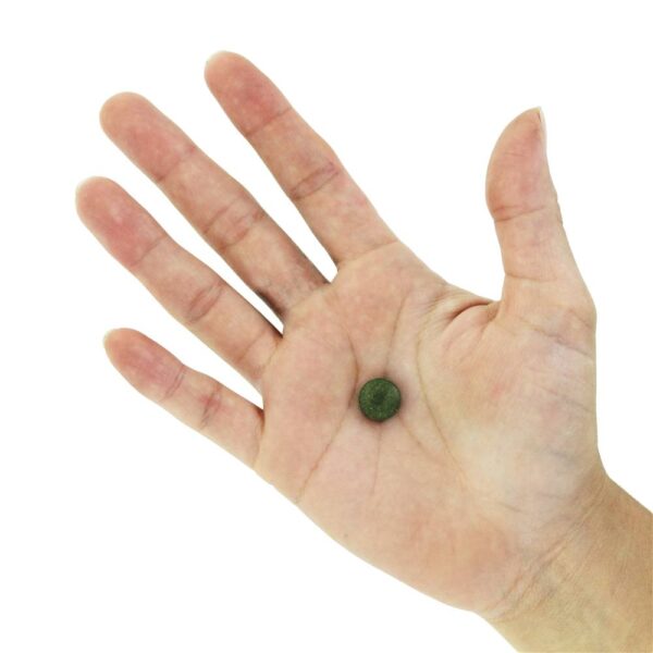Comprar Green Magma Orgânico 500 mg. - 250 Tablets Green Foods - Imagem 5