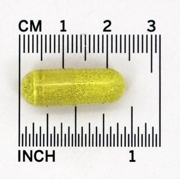 Comprar Quercetina 500 mg. - Cápsulas 200 Jarrow Formulas - Imagem 4