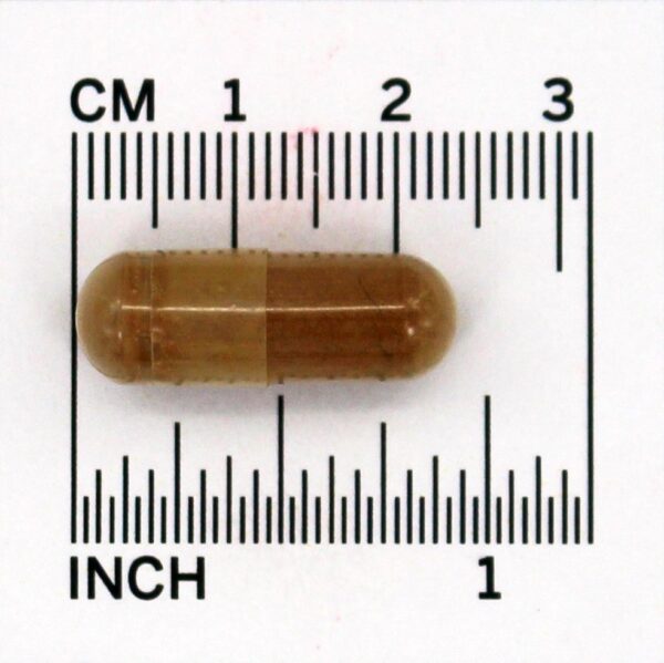Comprar Rhodiola Rosea 500 mg. - Cápsulas 60 Jarrow Formulas - Imagem 4