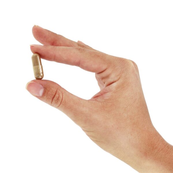 Comprar Rhodiola Rosea 500 mg. - Cápsulas 60 Jarrow Formulas - Imagem 5