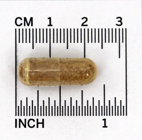 Comprar Saccharomyces Boulardii + MOS - Cápsulas vegetarianas 90 Jarrow Formulas - Imagem 4