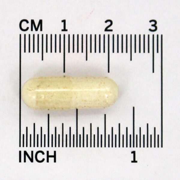 Comprar Selenium Synergy Selênio Ativado 200 mcg. - Cápsulas 60 Jarrow Formulas - Imagem 4