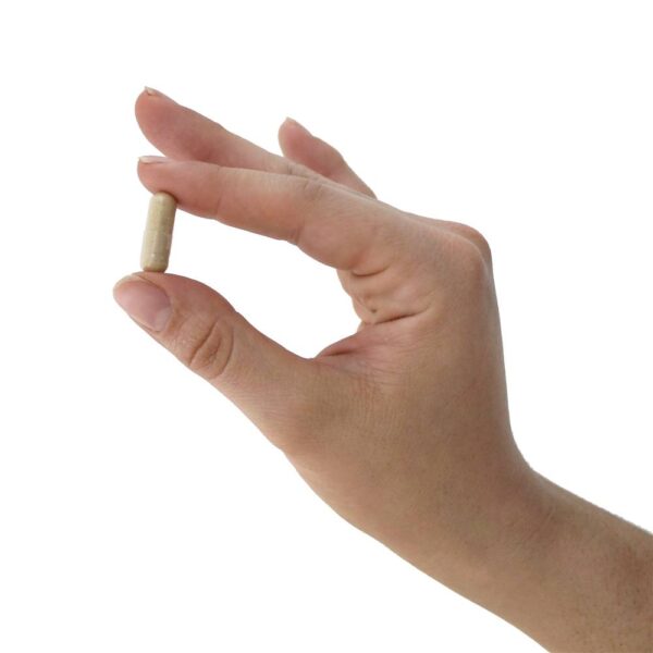 Comprar Lactoferrina 250 mg. - Cápsulas 60 Jarrow Formulas - Imagem 5