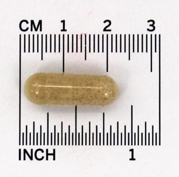 Comprar Tudo Adrenal - Cápsulas 60 Natural Sources - Imagem 4