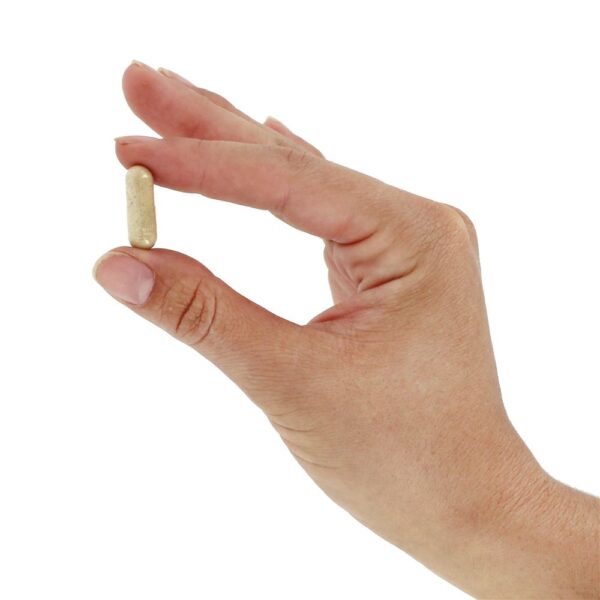 Comprar Tudo Adrenal - Cápsulas 60 Natural Sources - Imagem 5