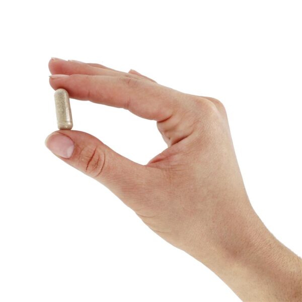Comprar Ultra Zeaxantina 6 mg. - Cápsulas 30 Solaray - Imagem 5