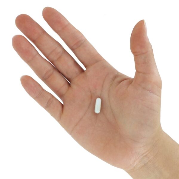 Comprar Zinco Balance 15 mg. - Cápsulas 100 Jarrow Formulas - Imagem 5
