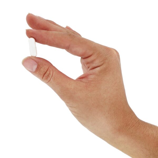 Comprar Citicoline CDP Colina 250 mg. - Cápsulas 60 Jarrow Formulas - Imagem 5