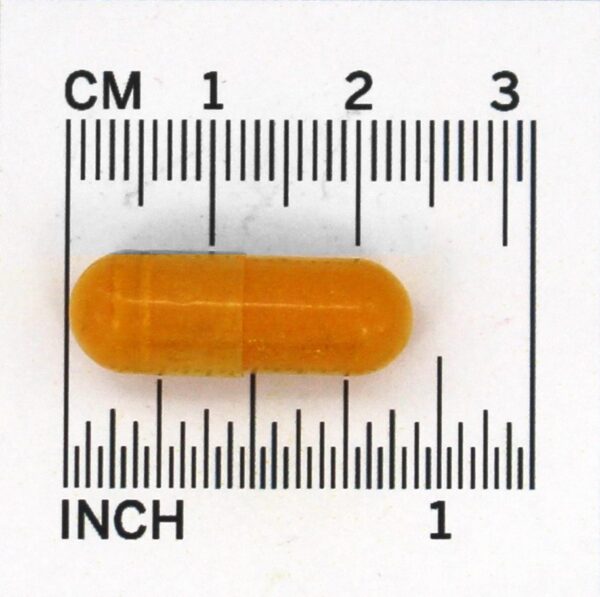 Comprar Curcumina 95 500 mg. - Cápsulas 120 Jarrow Formulas - Imagem 5