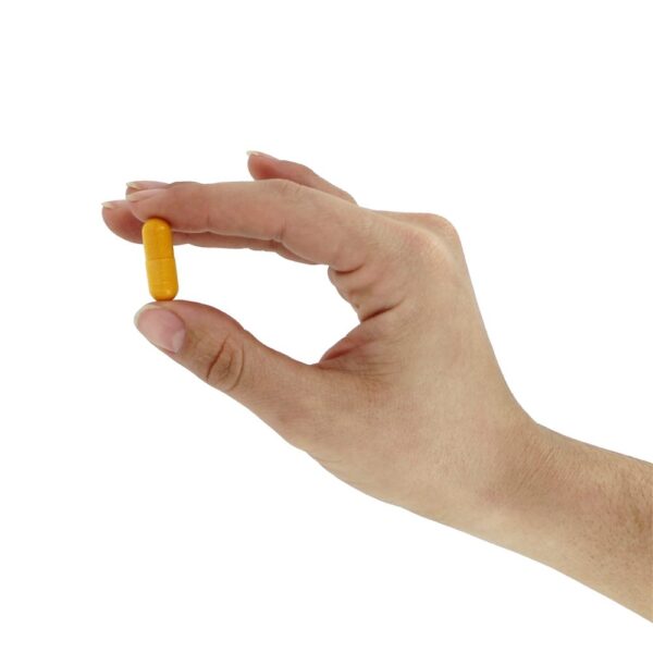 Comprar Curcumina 95 500 mg. - Cápsulas 120 Jarrow Formulas - Imagem 6