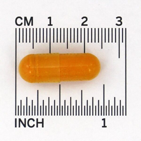 Comprar Curcumin-95 500 mg. - Cápsulas 60 Jarrow Formulas - Imagem 4