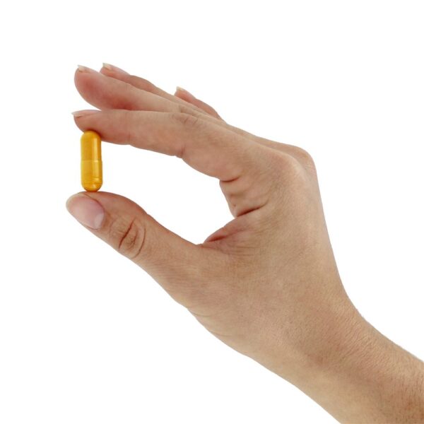 Comprar Curcumin-95 500 mg. - Cápsulas 60 Jarrow Formulas - Imagem 5