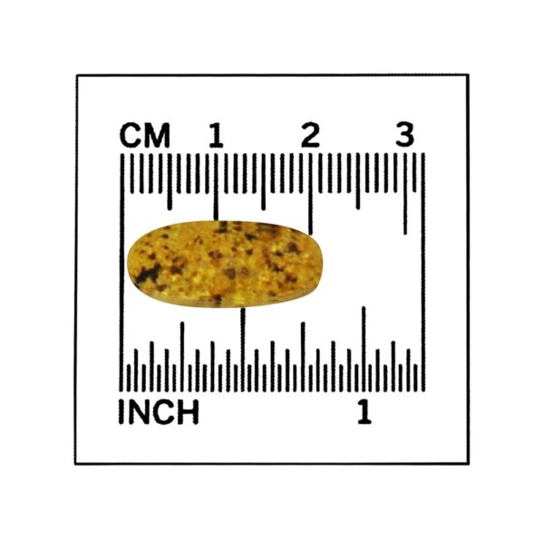 Comprar Multivitamínico pré-natal - 180 Tablets Super Nutrition - Imagem 5