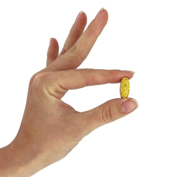 Comprar Multivitamínico pré-natal - 180 Tablets Super Nutrition - Imagem 6