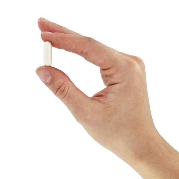 Comprar Daily Essential Enzymes Para Auxílio Digestivo 500 mg. - Cápsulas 120 Source Naturals - Imagem 5