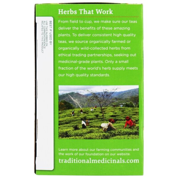 Comprar Gengibre Chá Verde Orgânico - 16 Saquinhos de Chá Traditional Medicinals - Imagem 4