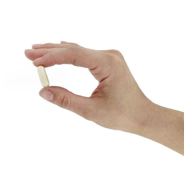Comprar Multidophilus12 Fórmula de 12 Cepas Com 20 Bilhões de Organismos Vivos - Cápsulas vegetarianas 100 Solaray - Imagem 5