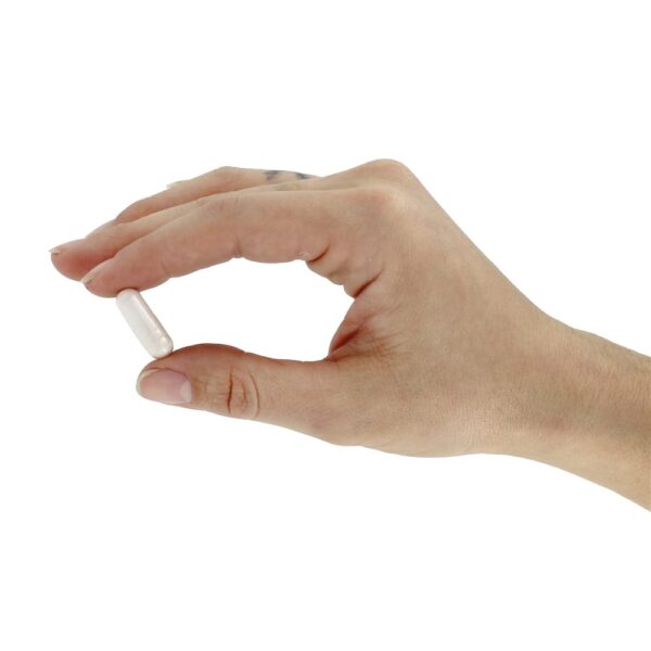 Comprar Picolinato de Cromo Trivalente 500 mcg. - Cápsulas vegetarianas 120 Solgar - Imagem 6