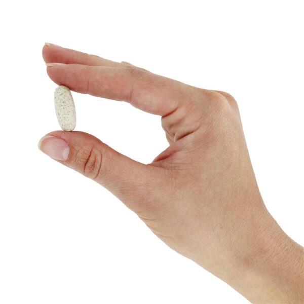 Comprar Brócolis Brotos Extrato Padronizado - 60 Tablets Source Naturals - Imagem 5